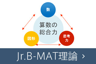 Jr.B-MAT理論
